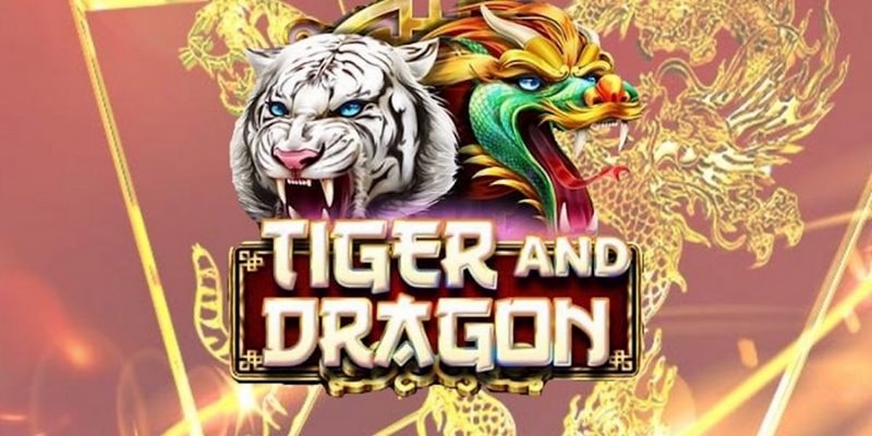 cách chơi rồng hổ