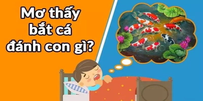 mơ thấy bắt cá