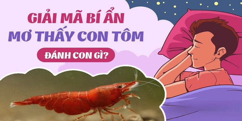 mơ thấy bắt tôm