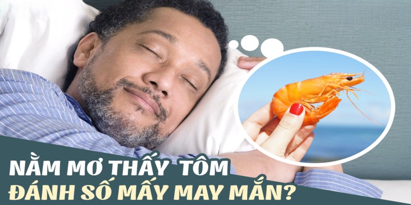 Sổ mơ bắt tôm các con số tài lộc nên đánh